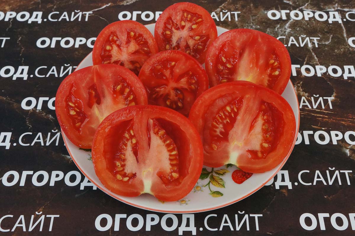 Томат Топтыжка: популярный сорт с вкусными и полезными плодами